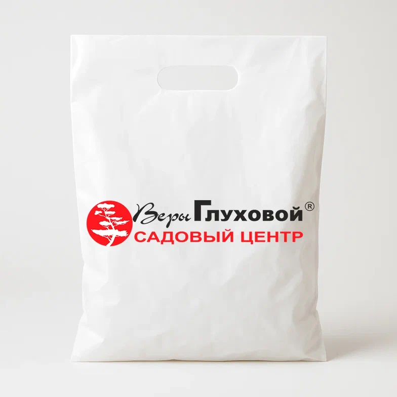 Заголовок